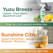 Multi-Surface Cleaner Spray